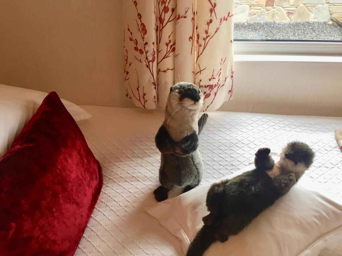 Otter Lodge 奥其特拉德 外观 照片